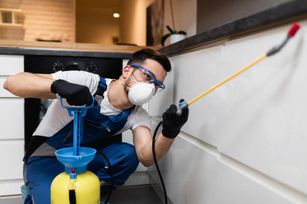 Best Flea Control Services  in Saylorsburg, PA