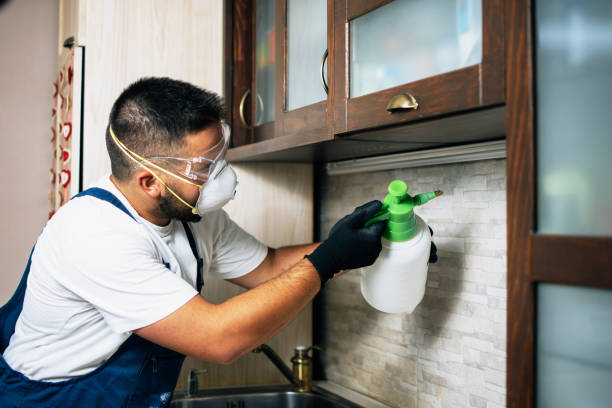 Best Rat Extermination Near Me  in Saylorsburg, PA
