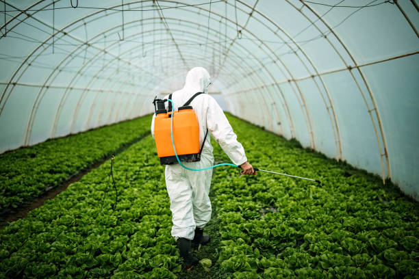 Best Residential Pest Control  in Saylorsburg, PA