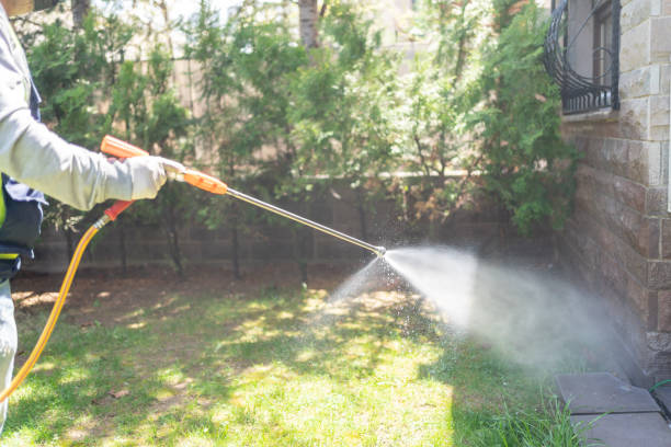 Best Termite Control Services  in Saylorsburg, PA