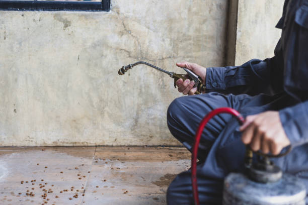 Best Commercial Pest Control Services  in Saylorsburg, PA